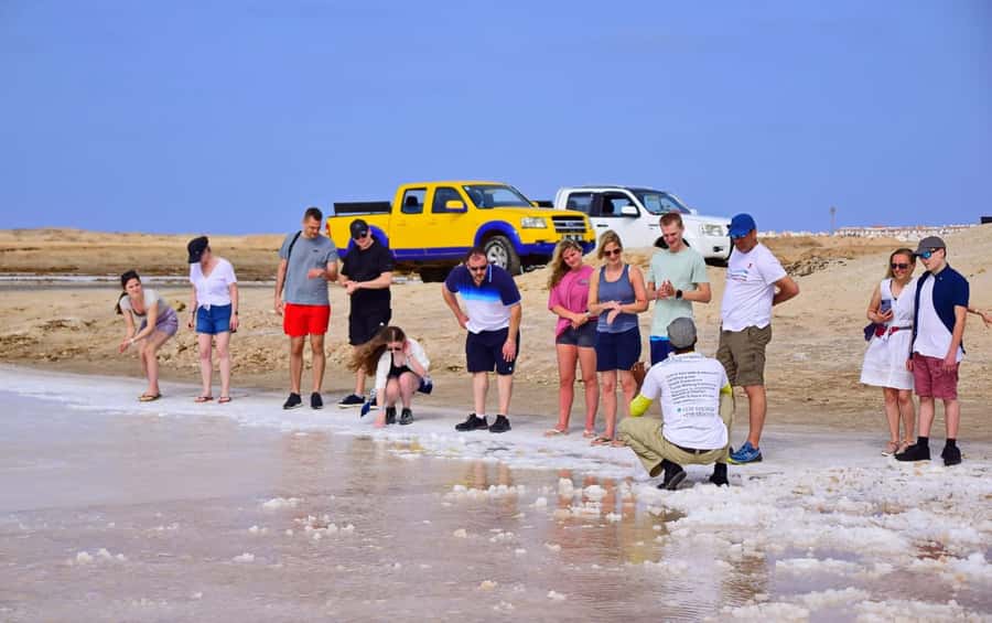 Sal island: Guided Historical and Cultural Tour - Why this four-hour tour adds meaning to Sal