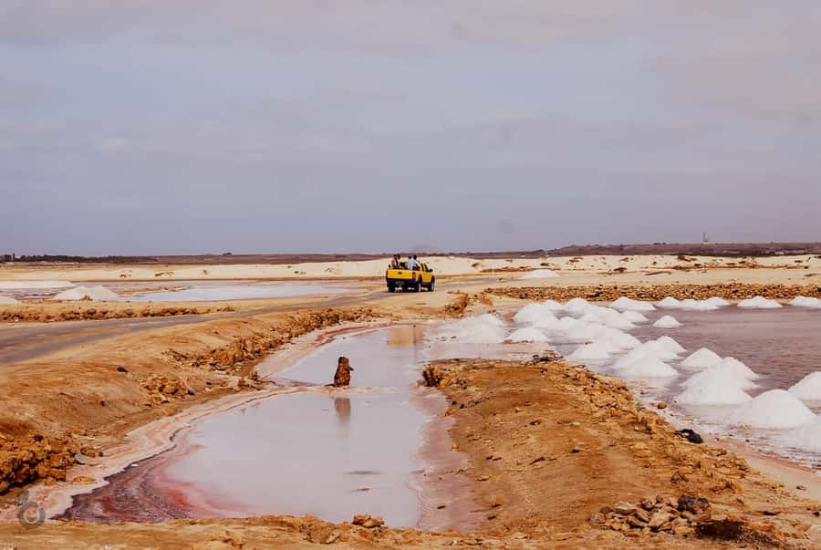 Sal island: Guided Historical and Cultural Tour - Transport, languages, and the pace of the day