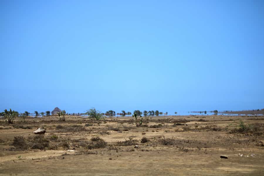 Sal Island, Salinas, Buracona and Lemon Shark - Palmeira finishes the sightseeing with working-island character