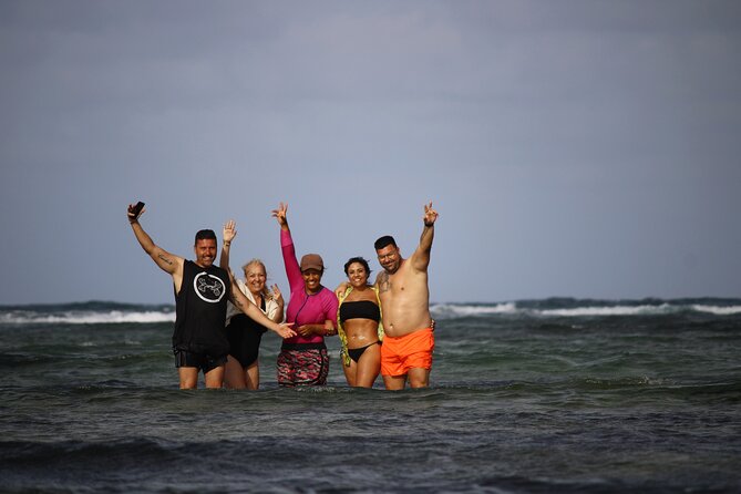Sal Island, Salinas, Buracona and Lemon Shark - Murdeira’s reserve brings a short nature stop