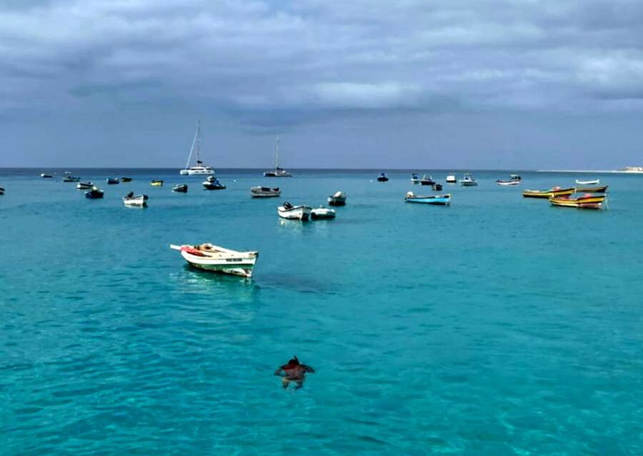 Sal island: Santa Maria city tour, street art and tapas - Key points at a glance