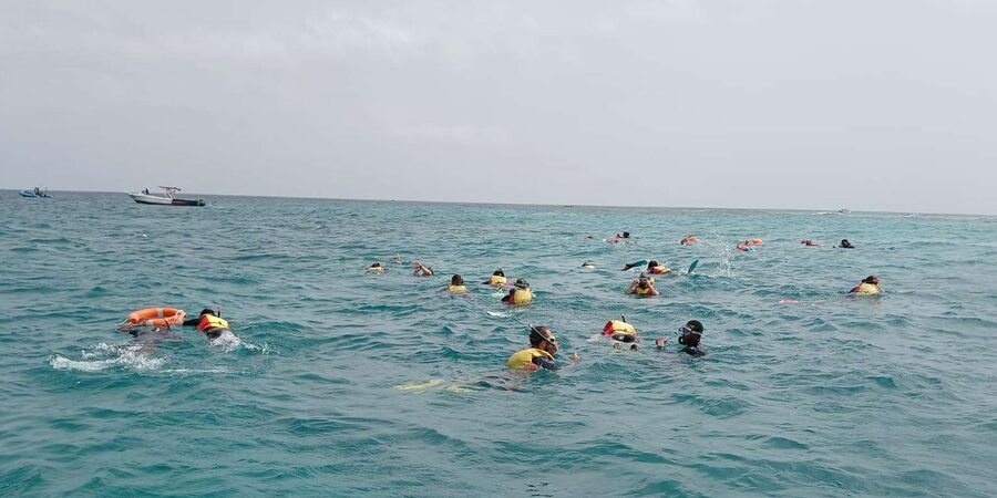 Sal Island: Santa Maria Snorkelling - Practical tips for a better swim