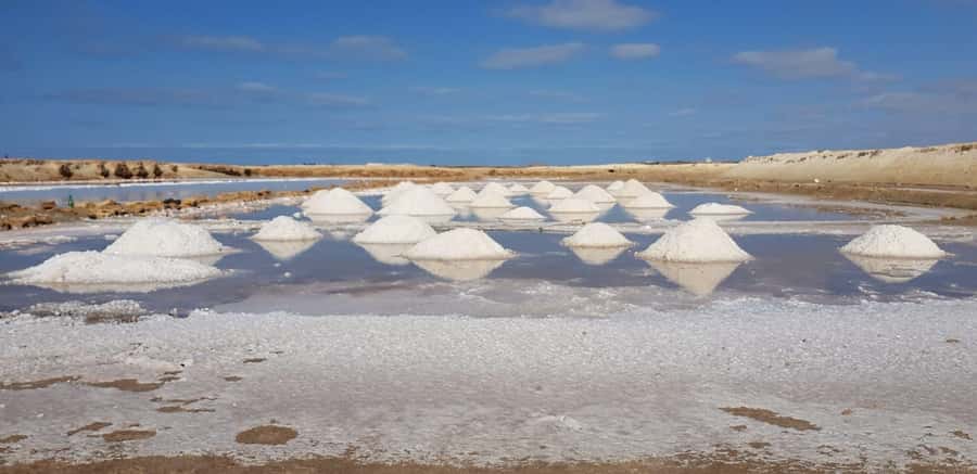 Sal island: Secrets of a Native Guide Day trip with Lunch - Shark Bay: the day’s most unusual encounter