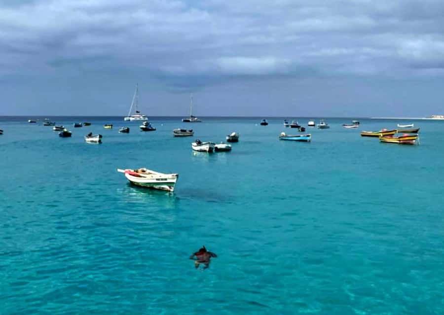 Sal: Private Tour Secrets of a native guide All-inclusive - Sal in one day: key points