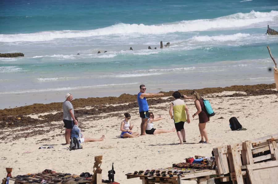 Sal Rei: Boa Vista Island Full-Day North to South Discovery - Why this full-day Boa Vista trip works