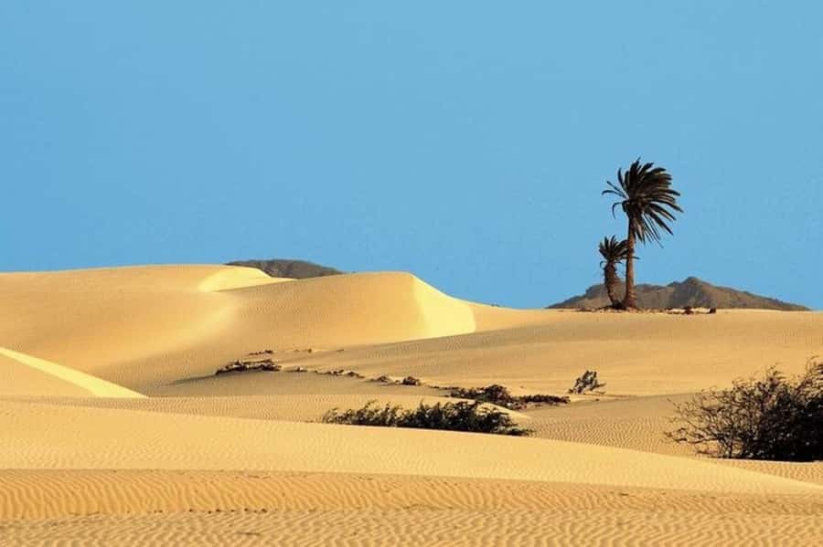 Sal Rei, Santa Monica Beach, Caves, Dunes & Shipwreck Tour - The guide can shape the quality of the day