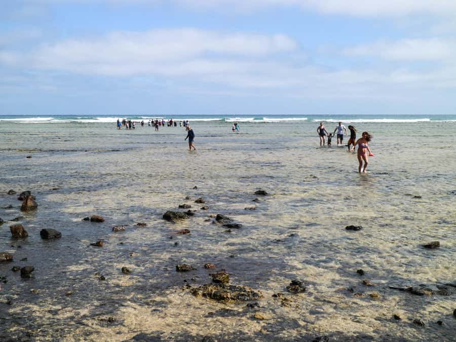 Salt Pans & Lemon Sharks Experience - Two of Sal’s best-known natural stops in three hours