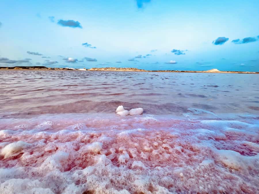 Santa Maria City Tour & Cuscuz Tasting with a Local Family - The Santa Maria Salt Pans and Sal’s name