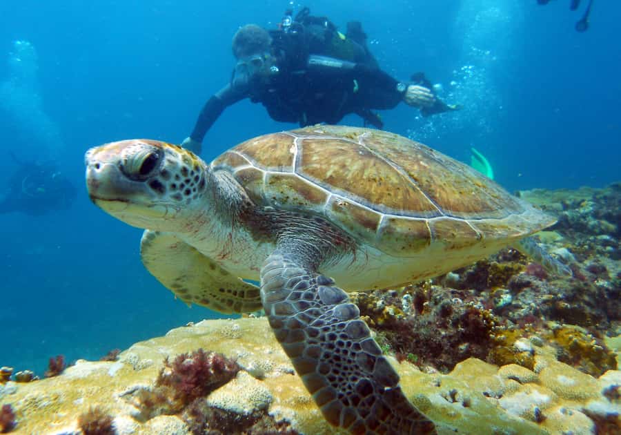 Santa Maria: Discover Scuba Diving - A calm start at the dive center