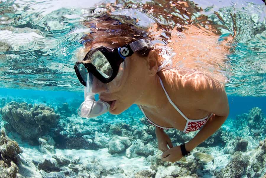 Santa Maria: Guided Snorkeling and Reef Tour - Quick points before you book