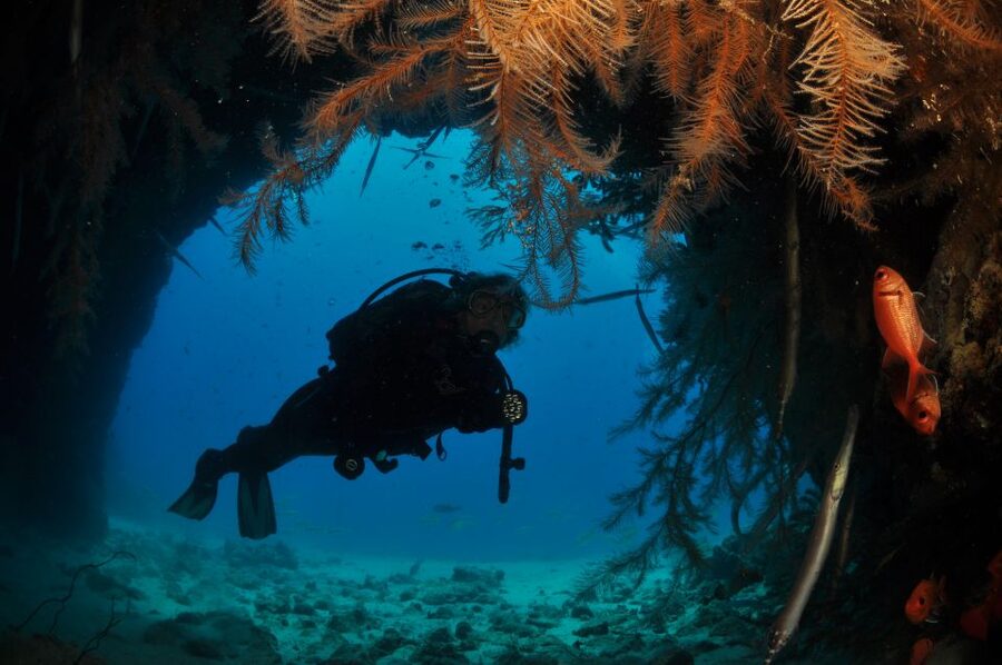 Santa Maria: Half-Day Diving Trip in Sal with Pickup - Group size and the role of the guide