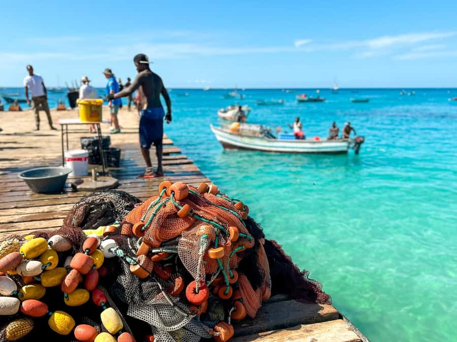 Santa Maria Half Day or Full Day Car Rental, Pedra de Lume - Key points before you book