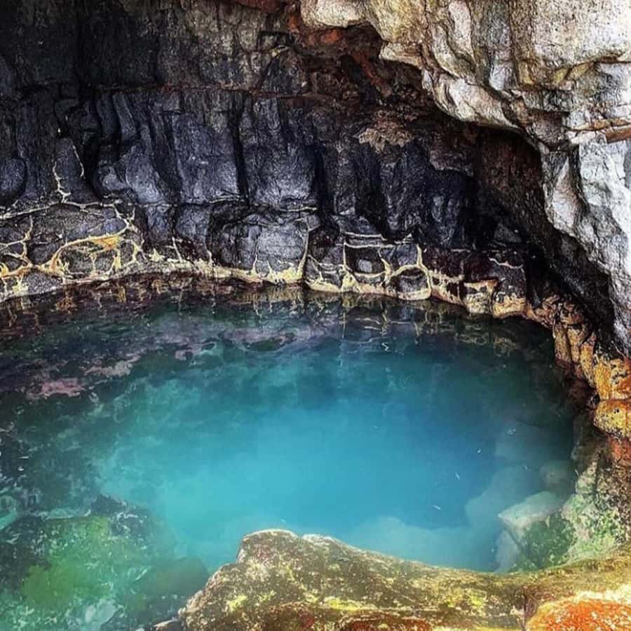 Santa Maria: Salt Mine, Natural Pool, and Shark Bay Tour - Lemon Shark Bay is the day’s big moment