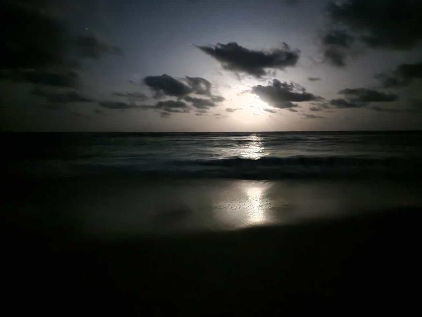Santa Maria: Sea Turtle Watching Experience on Sal Island - What to wear and pack for Sal’s turtle beach