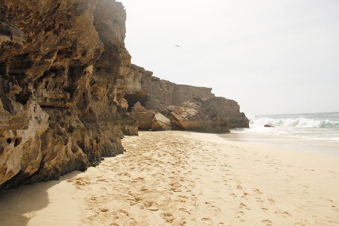 Santa Monica NO Stress Tour - Who will enjoy this trip most