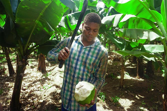 Santiago Island: Banana Plantation, Natural Park & Workshop with a local family - From farm produce to Cape Verdean food