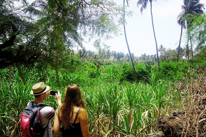 Santiago Island: Banana Plantation, Natural Park & Workshop with a local family - What the route adds beyond the stops