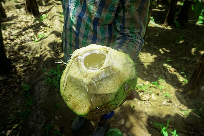 Santiago Island: Banana Plantation, Natural Park & Workshop with a local family - Language and cultural connection