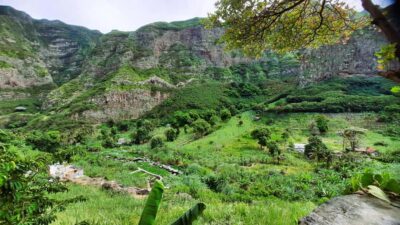 Full Day Island Tour & Visit to Cova de Paúl