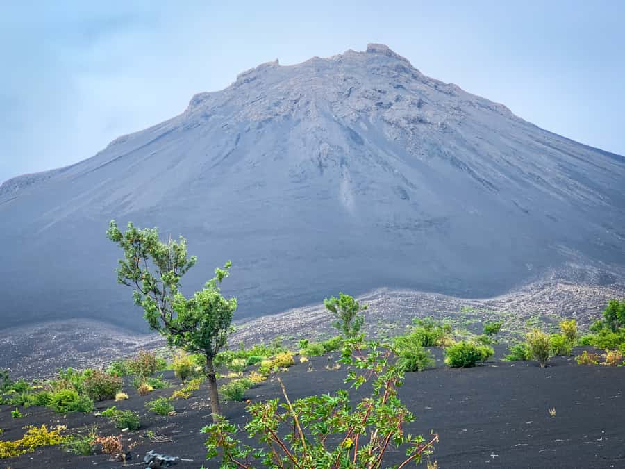Sao Filipe: Coffee Plantation and Natural Pools Day Trip - Mosteiros, coffee, and the 1951 lava flows