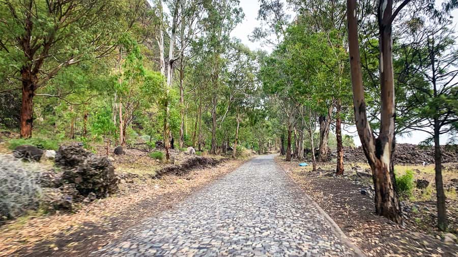 Sao Filipe: Coffee Plantation and Natural Pools Day Trip - Timing, clothing, and practical preparation