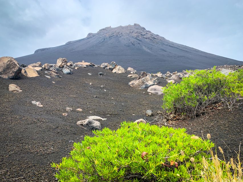 Sao Filipe: Coffee Plantation and Natural Pools Day Trip - Who should book this experience