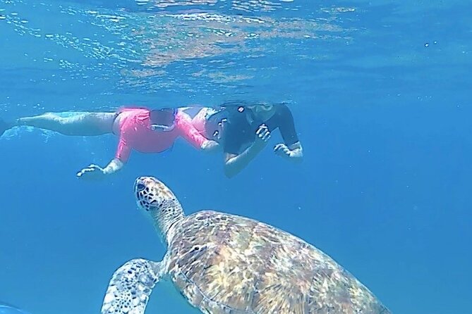 São Pedro experience (hiking & snorkeling with turtles) - Key points about the São Pedro day trip