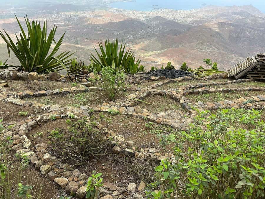 São Vicente: Half Day, Monte Verde and Villages - The guides: why names and language matter
