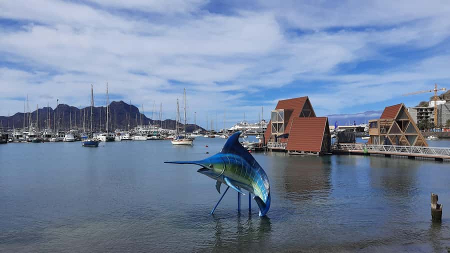 São Vicente: Markets, Beaches and Natural Park Tour - Key points at a glance