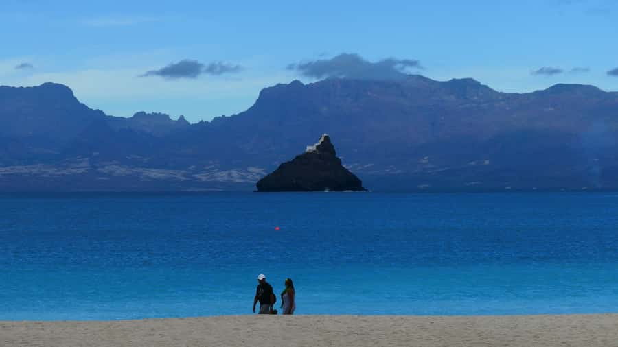 São Vicente: Markets, Beaches and Natural Park Tour - Why this São Vicente tour works