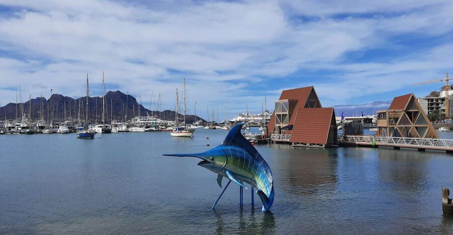 São Vicente: Markets, Beaches and Natural Park Tour - What $82 buys you