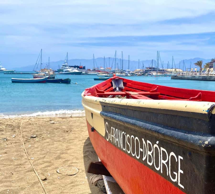 São Vicente: Snorkel with Sea Turtles Adventure - Pickup from your hotel or port
