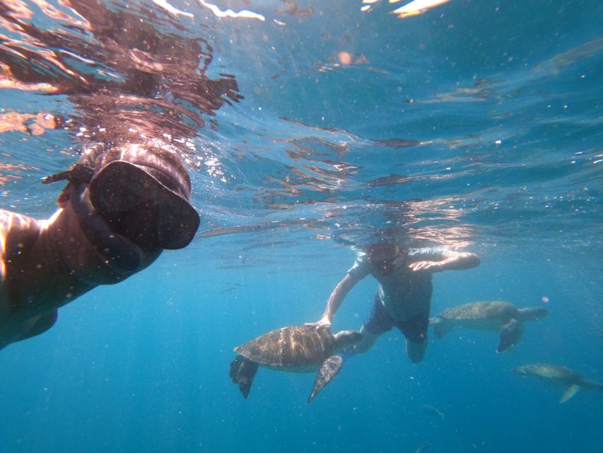 São Vicente: Snorkeling with Turtles Breathtaking Experience - Meeting the green turtles in the water