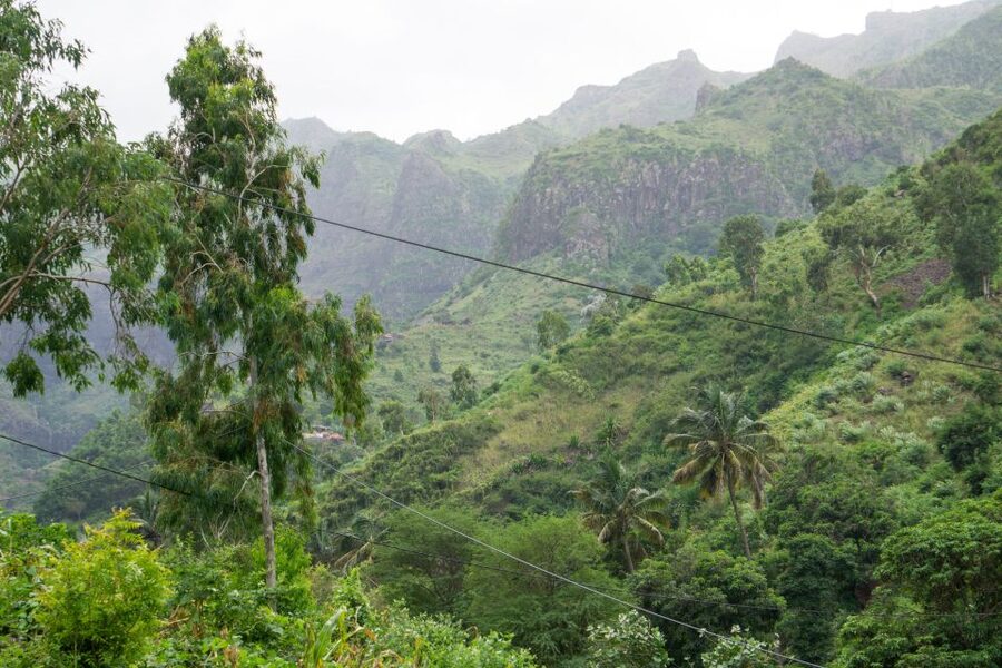 Serra Malagueta Natural Park: Hike to Gongon Valley & Lunch - From Praia to Serra Malagueta at 1,000 meters