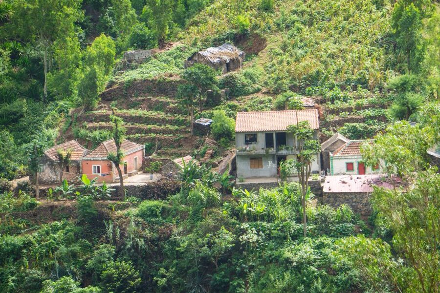 Serra Malagueta Natural Park: Hike to Gongon Valley & Lunch - Continuing to Hortelã Valley