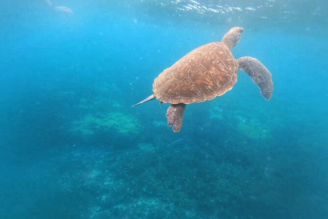 Snorkeling Experience in Santa Maria Bay by boat - What the Santa Maria Bay Trip Is Really Like