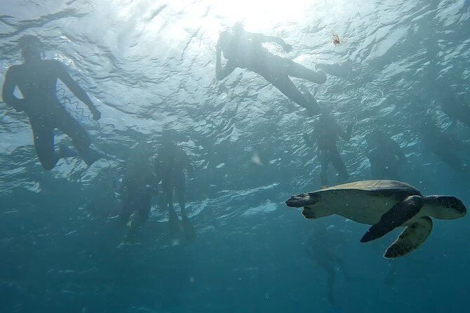 Snorkeling Experience in Santa Maria Bay by boat - Timing, Weather, and Cancellation Advice