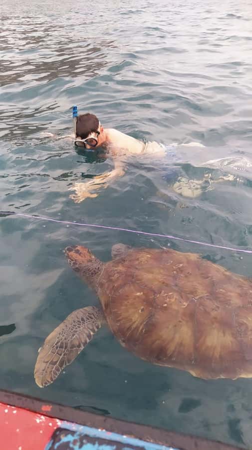 Snorkeling with Turtles - What Happens During the Two Hours in São Pedro