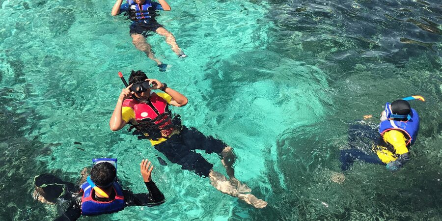 Snorkeling with turtles at Sao Pedro's Beach - Final verdict: should you book it?