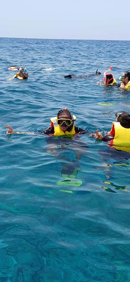 Snorkelling trip with certificate local guide - What this Sal snorkelling trip actually includes