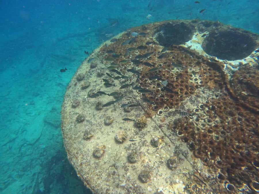Snorkelling trip with certificate local guide - Equipment, entry, and safety concerns
