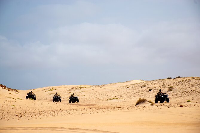 South of Boa Vista Adventure Explore the Desert by Quad - Who will enjoy this Boa Vista excursion?