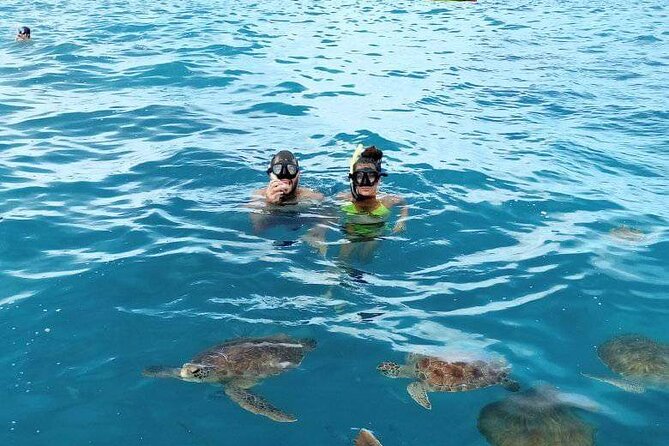 Spectacular experience with sea turtles - Snorkeling equipment needs a clear check