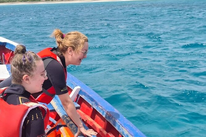 Spectacular experience with sea turtles - Who will enjoy this most?