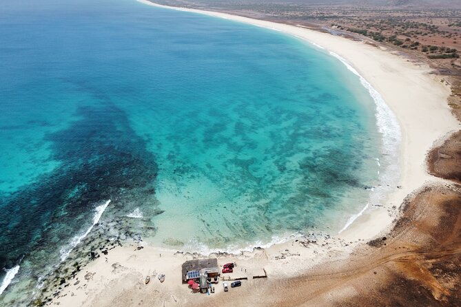 Tours in Boa Vista island - Shark Bay: a possible wildlife stop