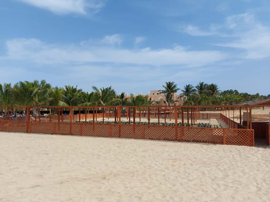 Turtle watching in Boa Vista Island - The 7 p.m. pickup and the ride to the beach