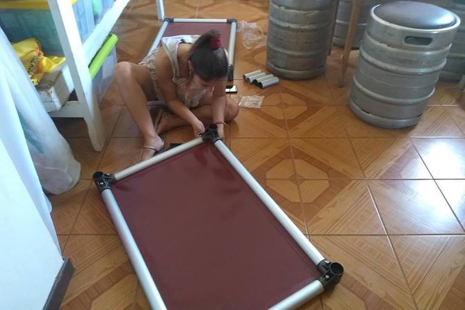 Volunteering with animals in Sao Vicente! - Puppies, Play, and Gentle Human Contact