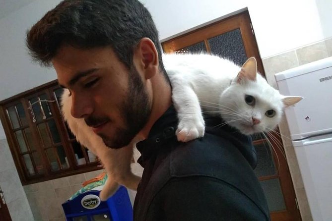 Volunteering with animals in Sao Vicente! - Cuddling Cats and Supporting Quieter Animals