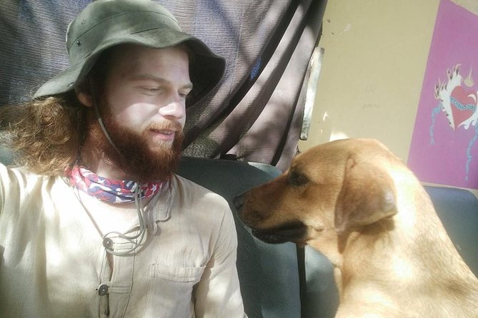 Volunteering with animals in Sao Vicente! - Helping Animals at the Clinic