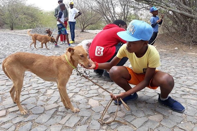 Volunteering with animals in Sao Vicente! - What Three Hours Gives You